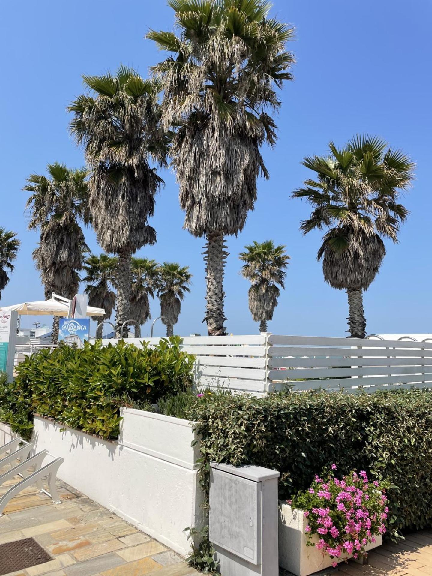 Hotel Napoleon Riccione Exteriér fotografie